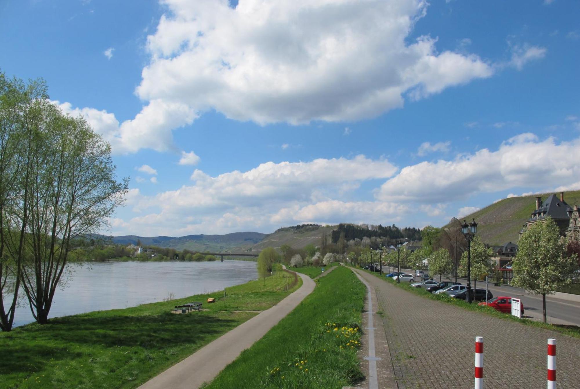 Mosel - River - Quartier 31 Otel Lieser Dış mekan fotoğraf