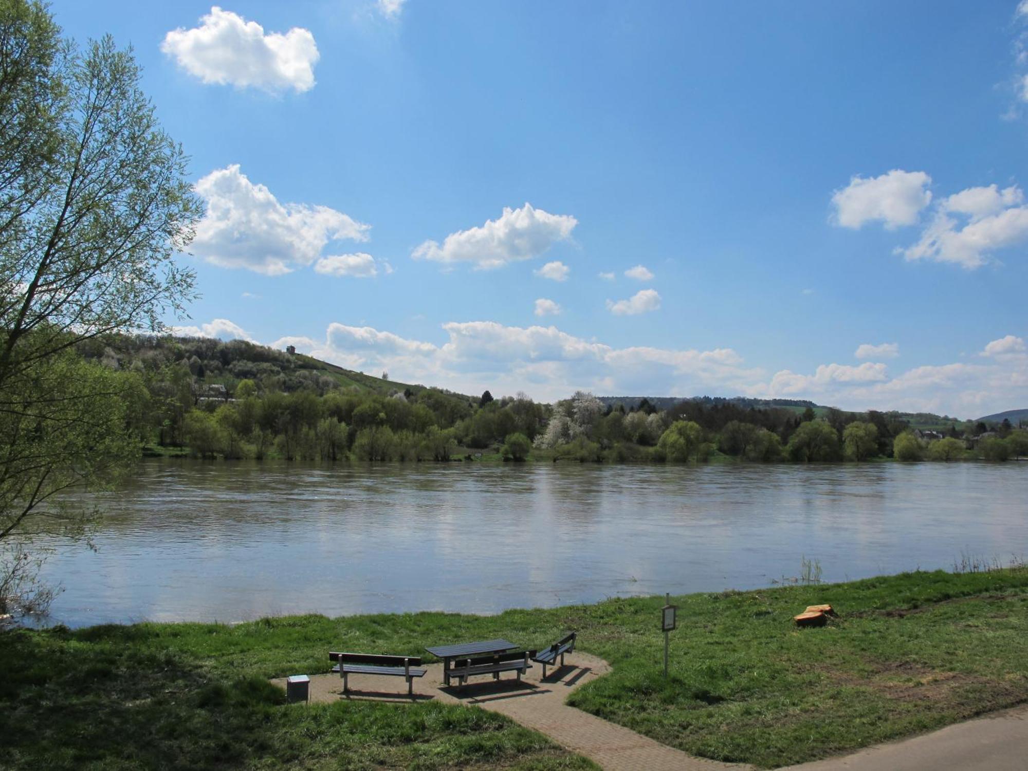 Mosel - River - Quartier 31 Otel Lieser Dış mekan fotoğraf