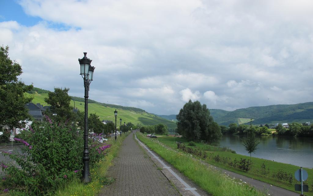 Mosel - River - Quartier 31 Otel Lieser Dış mekan fotoğraf